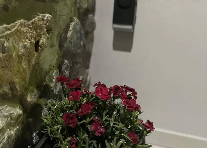 アパート Meraki House Of Kálymnos