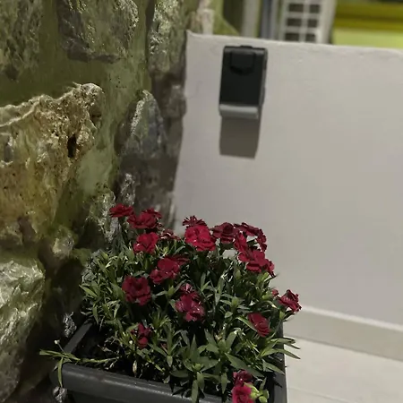 Appartamento Meraki House Of Kálymnos